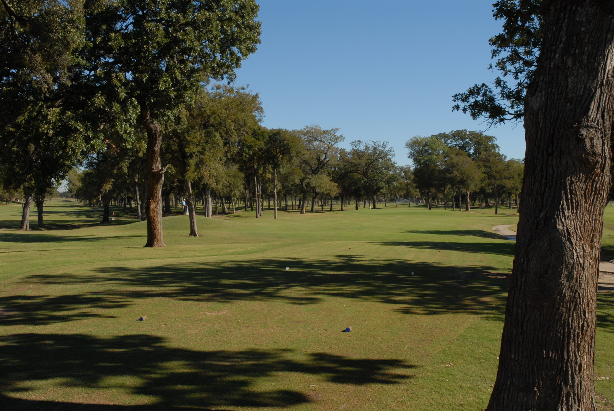 Hole 7 fairway view